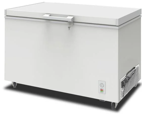 China Manufacturer Wholesale Price Ice Cream Freezer Price Meat Showcase Deep Freezer Foam Door Chest Freezer with Lock (BDBC-310)