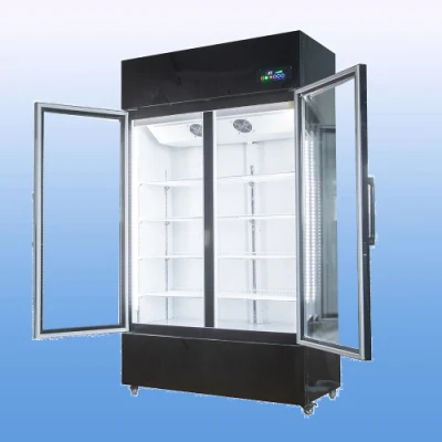 自動霜取り機能付きの高品質バー冷蔵庫、冷たい飲み物やジュース用の二重ガラスドア付き 700 リットル直立冷凍庫